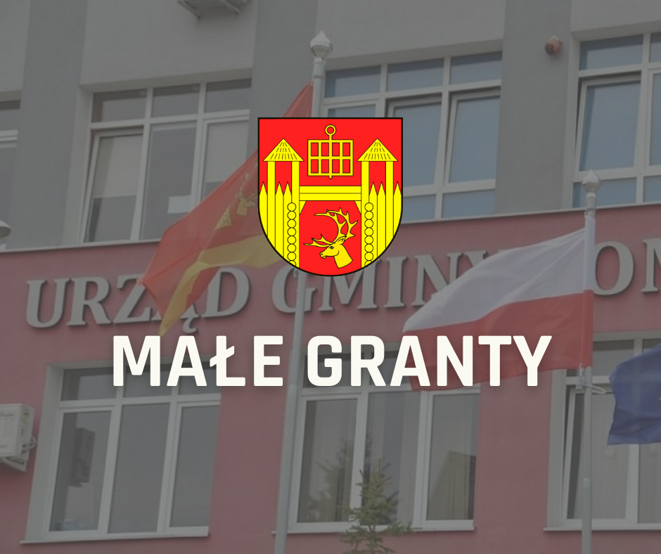 Zdjęcie do wiadomości INFORMACJA – TRYB MAŁYCH GRANTÓW